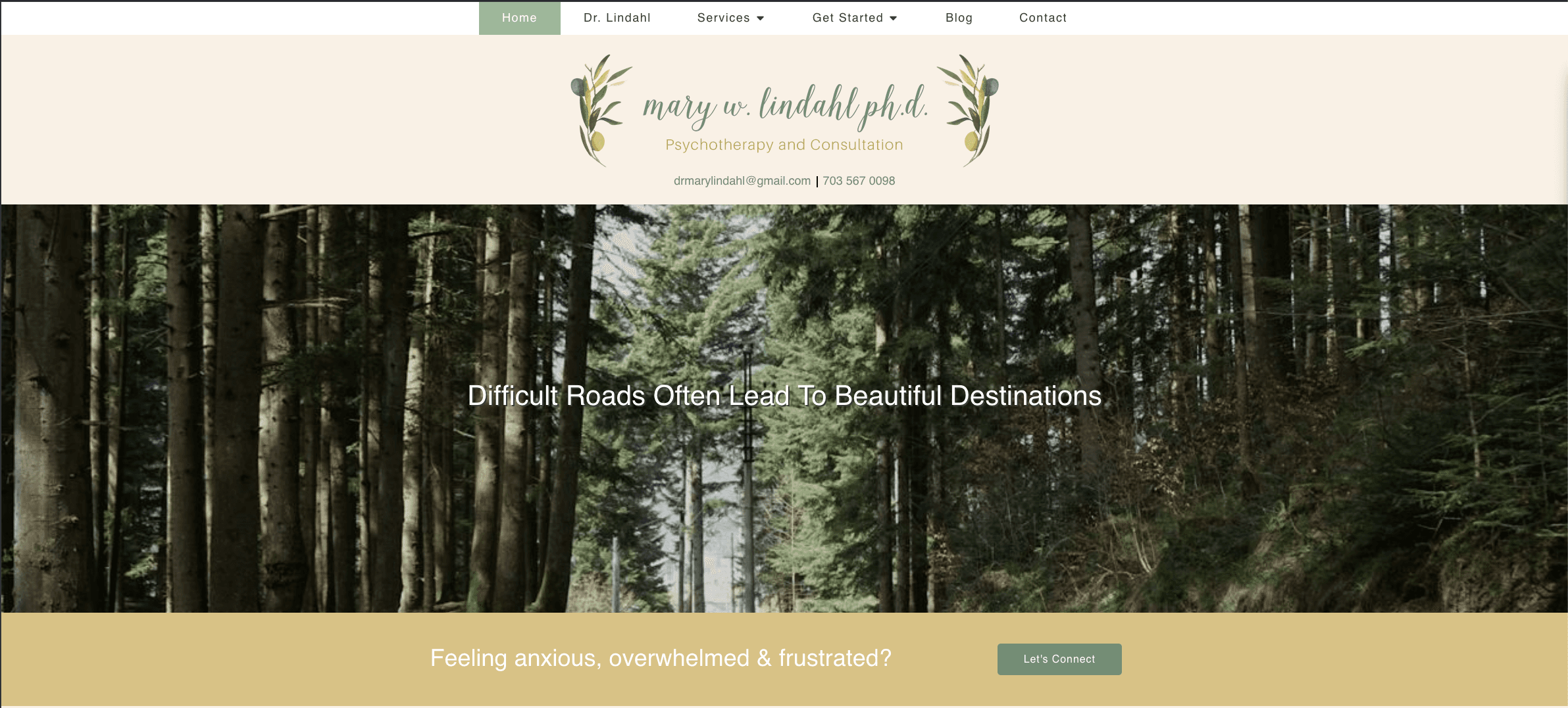 Dr. Mary Lindahl website preview